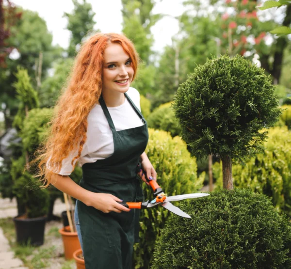 Landscapers hmgardeners Landscapers hmgardeners